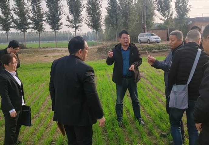 農(nóng)業(yè)發(fā)展部組織召開(kāi)小麥苗情觀(guān)摩會(huì)