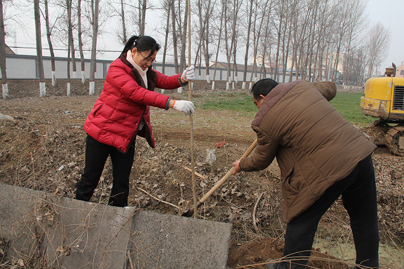 博農(nóng)集團領(lǐng)導(dǎo)、基層黨政負責人等同志積極參加植樹活動