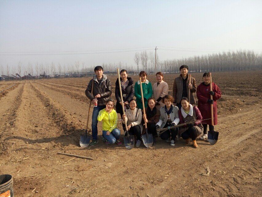 博農(nóng)集團領(lǐng)導(dǎo)、基層黨政負責人等同志積極參加植樹活動